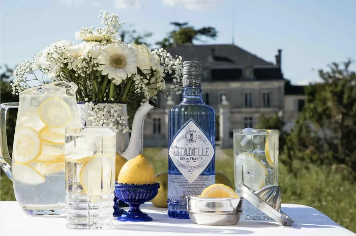 Citadelle Gin-1