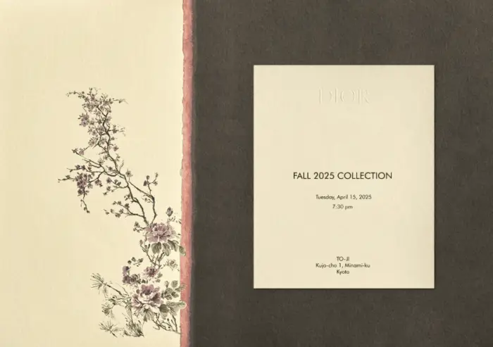 Fall 2025 collection Dior