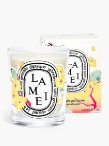 bougie lamei 190g lny 26 cny26lamei rvb hd fond gris spec ecom 1 diptyque