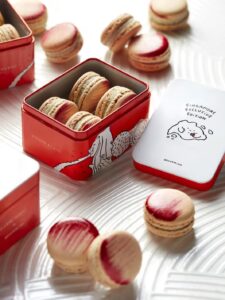 pierre herme macaroons 2