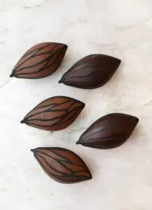cocoa pod easter25 (1)