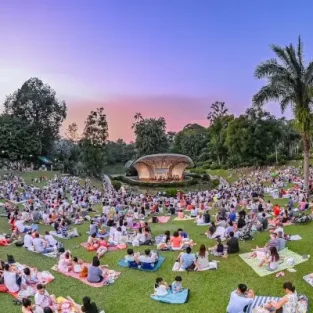 festival-voila-2024