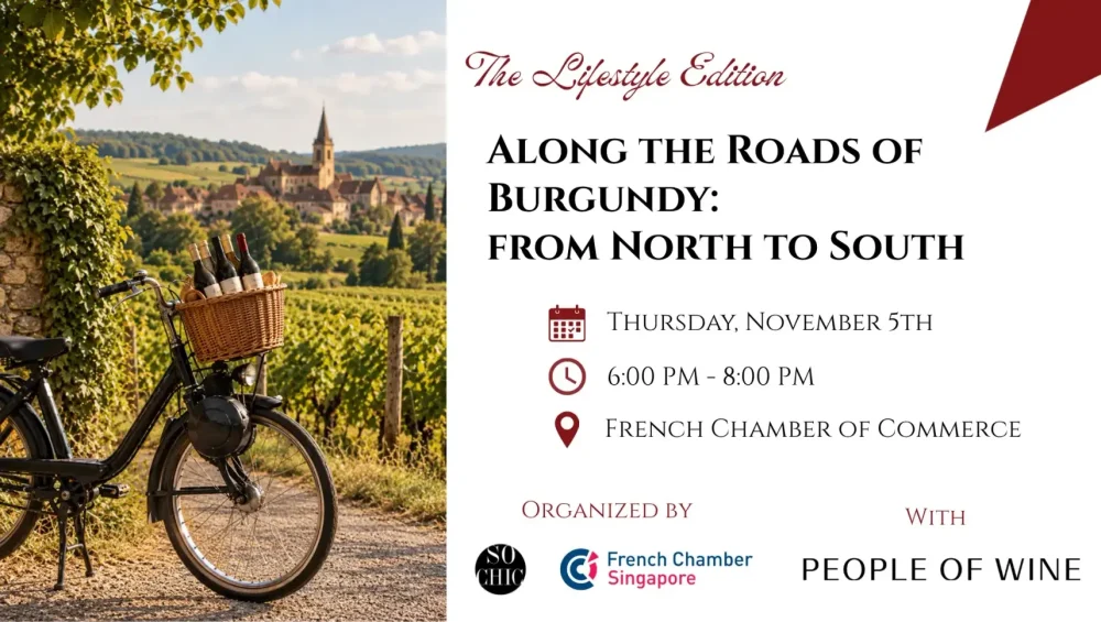 along the roads of burgundy (1)