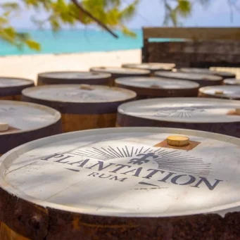 plantation-rum-featured-image