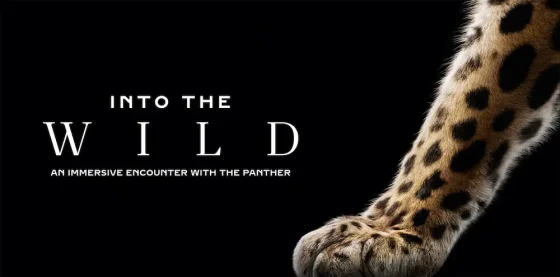 cartier intothewild 202610