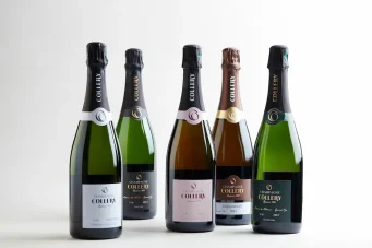 Champagne Collery group shoot (2) Champagne Collery group shoot (2)