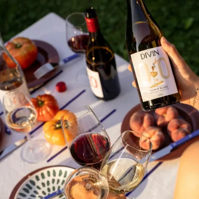 divin no alcohol (1)