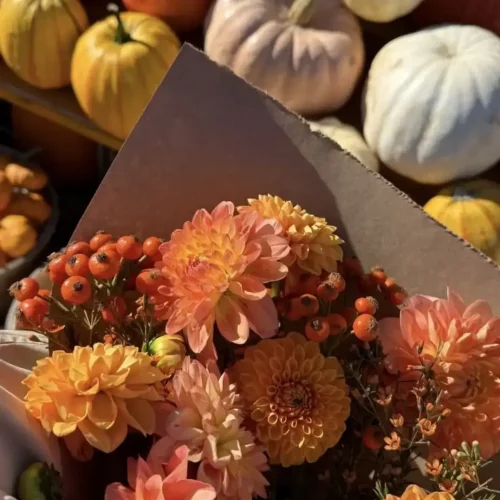 events in october 2026 so chic