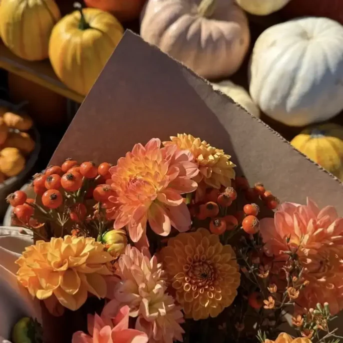 events in october 2026 so chic