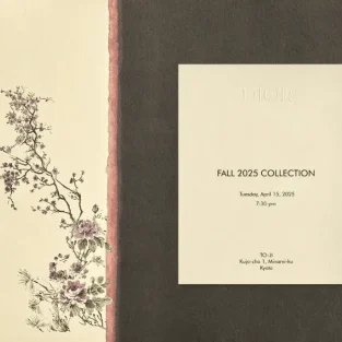 Fall 2025 collection Dior