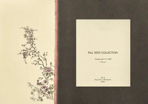 Fall 2025 collection Dior