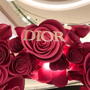 La_Rose_Dior_A_So_Chic_x_Dior_Experience Opti6