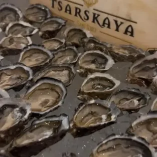 WhatsApp Image 2024-12-09 at 9.40.44 AM