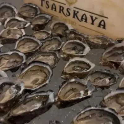 WhatsApp Image 2024-12-09 at 9.40.44 AM