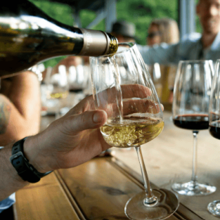 Wine Tasting