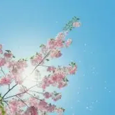 anders-jilden-O85h02qZ24w-unsplash-260x170