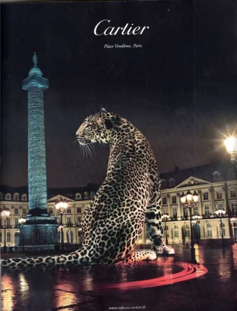 cartier-sochic