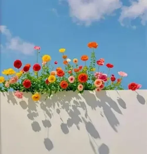 fleurs (1)