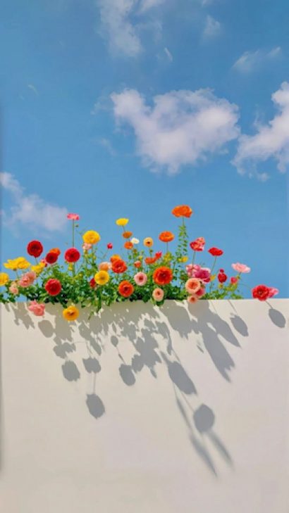 fleurs (1)