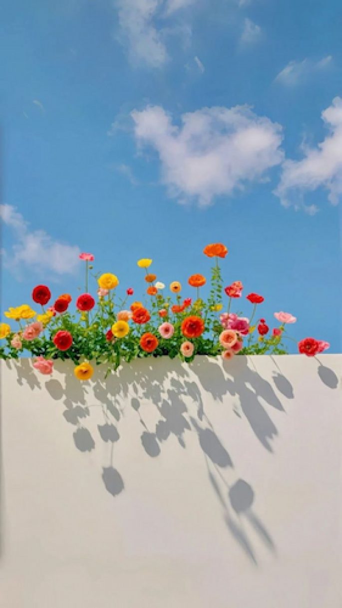 fleurs (1)