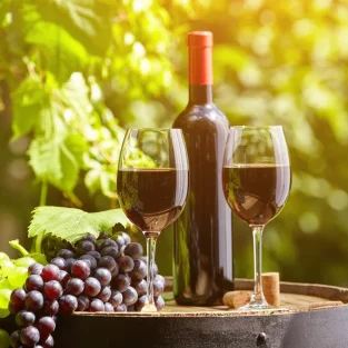 best-wine-featured-image