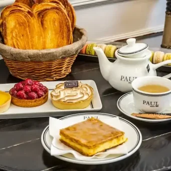 paul-featured-image paul-featured-image