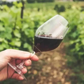 one-b-wine-featured-image one-b-wine-featured-image