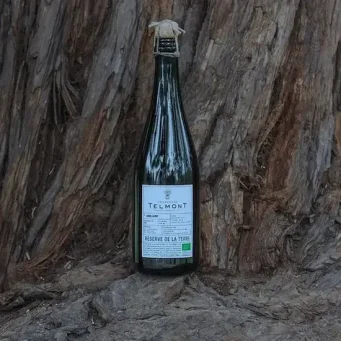 champagne-telmont-featured-image champagne-telmont-featured-image