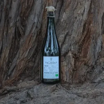 champagne-telmont-featured-image