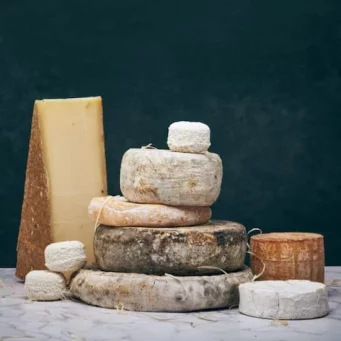 cheese-club-featured-image