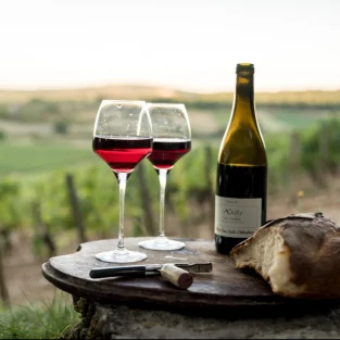 burgundy-wine-2024
