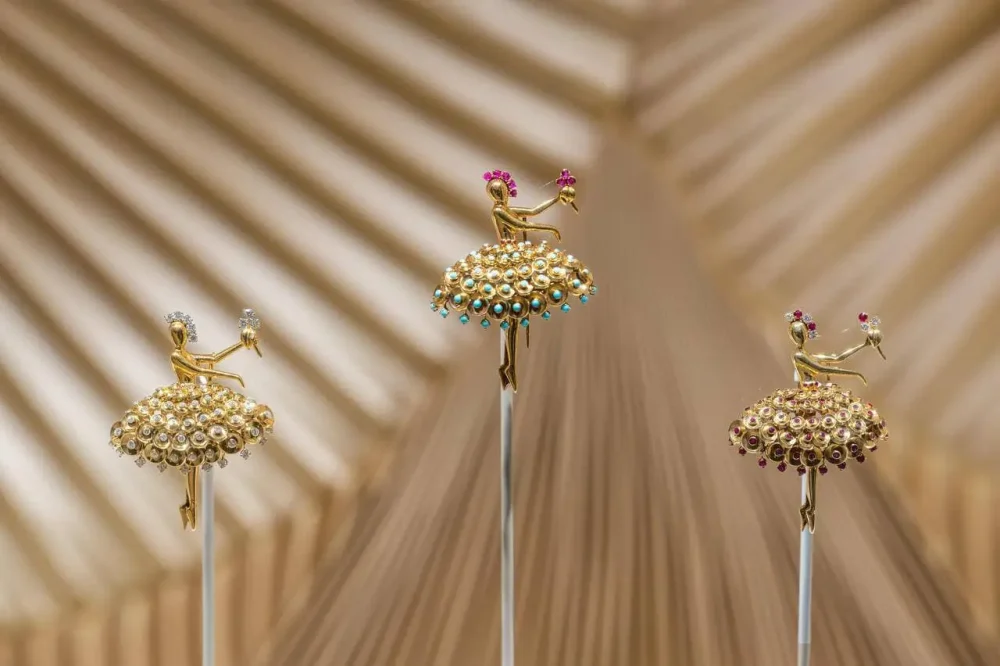 senatus evnxeo displaytall2xv2 (1)