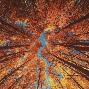 septembre