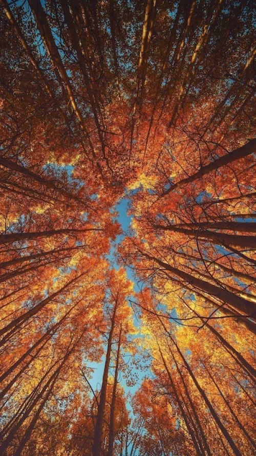 septembre