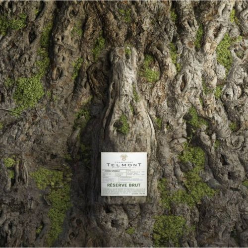 champagne Telmont
