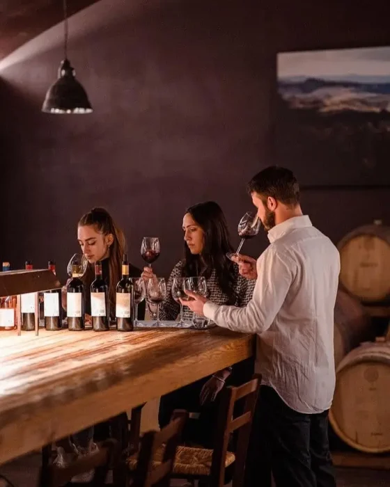 wine tasting masterclass novotel